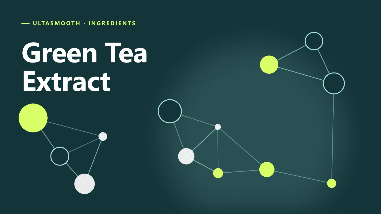 ภาพกราฟิกประกอบบทความ Green Tea Extract คืออะไร
