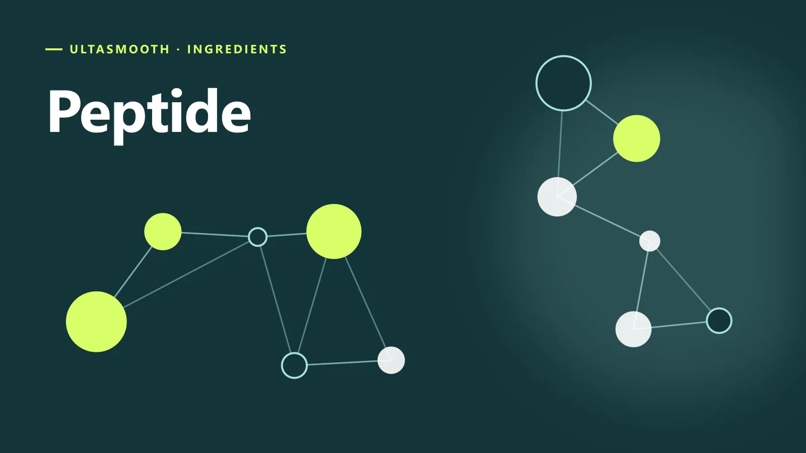 ภาพกราฟิกประกอบบทความ Peptide คืออะไร